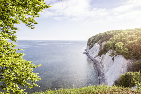 Deutschland, Mecklenburg-Vorpommern, Rügen, Nationalpark Jasmund, Kreidefelsen - MAMF00238