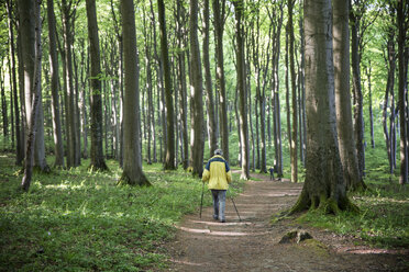 Germany, Mecklenburg-Western Pomerania, Ruegen, Jasmund National Park, hiker in beech forest on hiking trail - MAMF00240