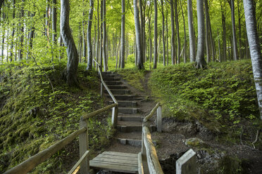 Germany, Mecklenburg-Western Pomerania, Ruegen, Jasmund National Park, Beech forest, forest path, steps - MAMF00251