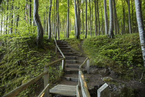 Deutschland, Mecklenburg-Vorpommern, Rügen, Nationalpark Jasmund, Buchenwald, Waldweg, Stufen - MAMF00251