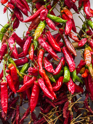 Chili pods growing on house facade - AMF06263