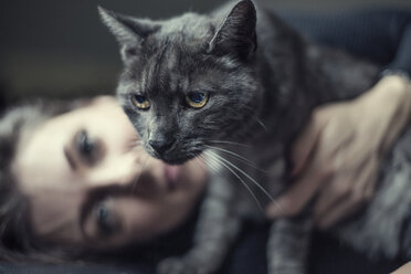 Portrait of grey tabby cat and owner in the background - JATF01063