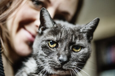 Portrait of grey tabby cat and smiling owner in the background - JATF01064