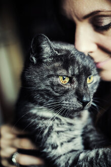 Porträt einer grau getigerten Katze und ihres Besitzers - JATF01068