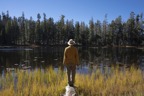 USA, Kalifornien, Yosemite-Nationalpark, Wanderer steht auf einem Baumstamm im Herbst, lizenzfreies Stockfoto