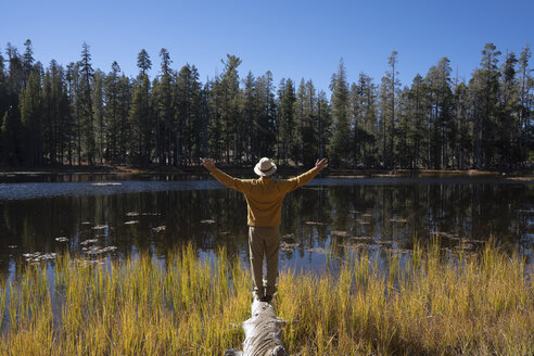 USA, Kalifornien, Yosemite-Nationalpark, Wanderer steht auf einem Baumstamm im Herbst - KKAF03010