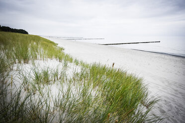 Deutschland, Mecklenburg Vorpommern, Zingst, Strand - FDF00254