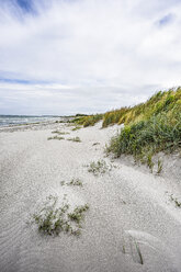 Deutschland, Mecklenburg Vorpommern, Zingst, Strand - FDF00259