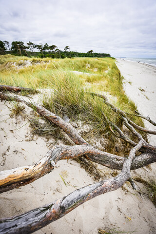 Deutschland, Mecklenburg Vorpommern, Zingst, Strand, lizenzfreies Stockfoto