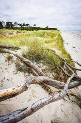 Deutschland, Mecklenburg Vorpommern, Zingst, Strand - FDF00263