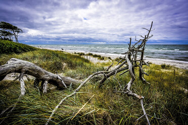 Deutschland, Mecklenburg Vorpommern, Zingst, Strand - FDF00265