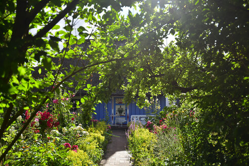 Deutschland, Zingst, Garten und Haus - FDF00269