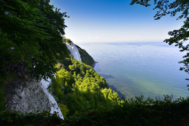 Deutschland, Rügen, Nationalpark Jasmund, Kreidefelsen Koenigsstuhl - FDF00278