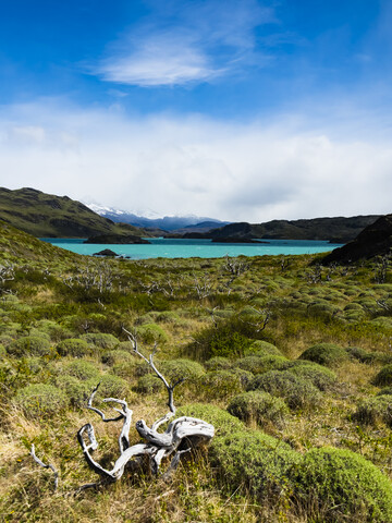 Chile, Patagonien, Torres del Paine National Park, Lago Nordenskjold, lizenzfreies Stockfoto