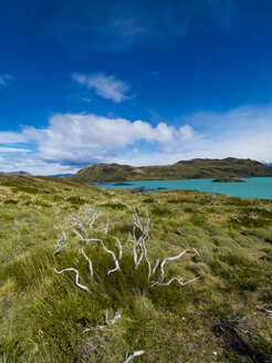 Chile, Patagonien, Torres del Paine National Park, Lago Nordenskjold - AMF06269