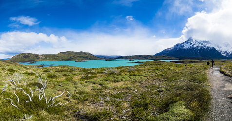 Chile, Patagonien, Torres del Paine National Park, Lago Nordenskjold - AMF06270