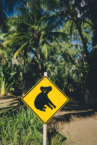 Australien, Magnetic Island, Koala-Tierkreuzungsschild, lizenzfreies Stockfoto