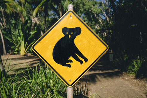 Australien, Magnetic Island, Koala-Tierkreuzungsschild - GEMF02567