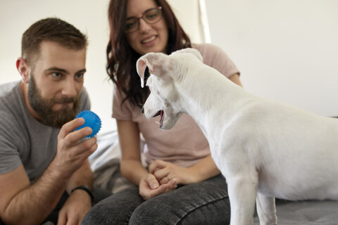 Ehepaar spielt mit Hund zu Hause, lizenzfreies Stockfoto