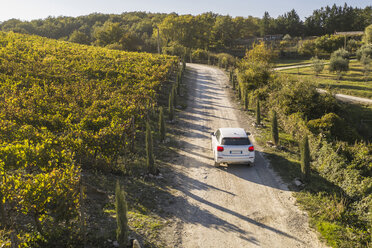 Italien, Toskana, Siena, Autofahrt auf Feldweg durch einen Weinberg - FBAF00179