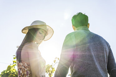 Italy, Tuscany, Siena, young couple in backlight in a vineyard - FBAF00199