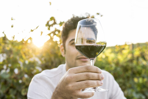 Italien, Toskana, Siena, junger Mann begutachtet Rotwein in einem Weinberg bei Sonnenuntergang, lizenzfreies Stockfoto