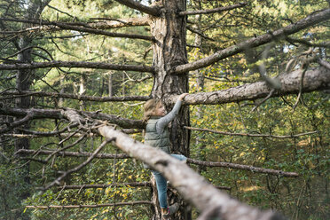 Kleines Mädchen klettert in den Bäumen - MOEF01656