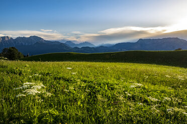 Scenic view of green landscape against sky - CAVF56026