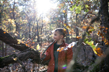 Boy holding stick while standing in forest during autumn - CAVF56035