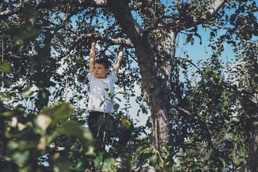 Low angle view of boy hanging on tree - CAVF56040