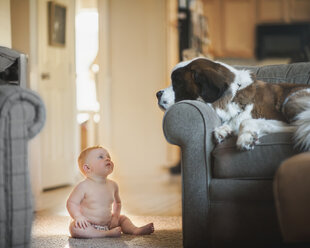 Hemdloser Baby-Junge schaut auf den Hund, der zu Hause auf dem Sofa liegt - CAVF56098