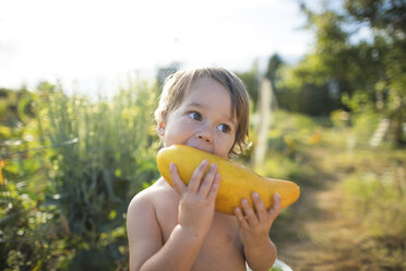 Hemdloser Junge isst frische Zucchini, während er gegen den Himmel im Gemeinschaftsgarten steht - CAVF56229