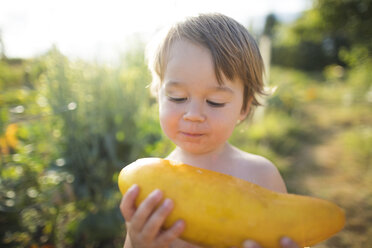 Junge ohne Hemd betrachtet frische Zucchini, während er im Gemeinschaftsgarten steht - CAVF56230