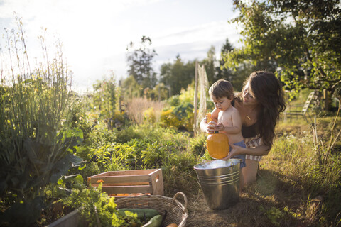 Mutter und Sohn ohne Hemd halten Kürbis im Gemeinschaftsgarten, lizenzfreies Stockfoto