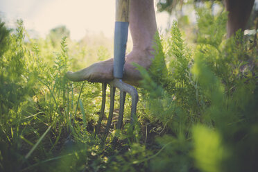 Low section of man using gardening fork at community garden - CAVF56248