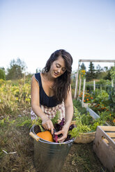 Woman washing vegetables in bucket against clear sky at community garden - CAVF56250