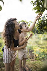 Seitenansicht der Mutter, die ihren Sohn ohne Hemd hält, während sie im Gemeinschaftsgarten Früchte von den Zweigen pflückt - CAVF56259