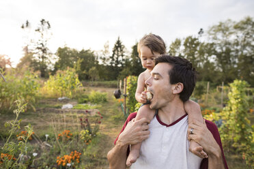 Son feeding fruit to father while sitting on his shoulder at community garden - CAVF56263