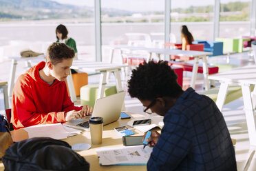 Universitätsstudenten beim Lernen in der Bibliothek - CAVF56348