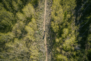 Hohe Winkel Ansicht des Mannes fahren Fahrrad auf der Straße im Wald - CAVF56367