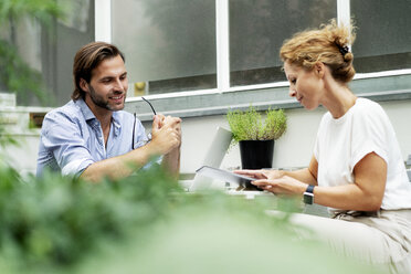 Glückliches Paar, das von zu Hause aus arbeitet und in seinem Garten sitzt - HHLMF00565