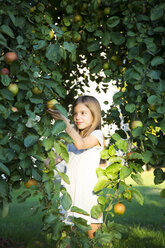 Porträt eines lächelnden kleinen Mädchens, das einen Apfel vom Baum pflückt - LVF07569
