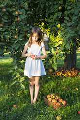 Kleines Mädchen steht barfuß auf einer Wiese mit gepflücktem Apfel in den Händen - LVF07570