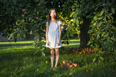 Porträt eines kleinen Mädchens, das barfuß auf einer Wiese steht und einen gepflückten Apfel im Mund hat - LVF07572