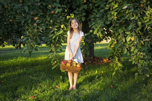 Porträt eines lächelnden kleinen Mädchens mit einem Weidenkorb voller gepflückter Äpfel, das barfuß auf einer Wiese steht - LVF07574