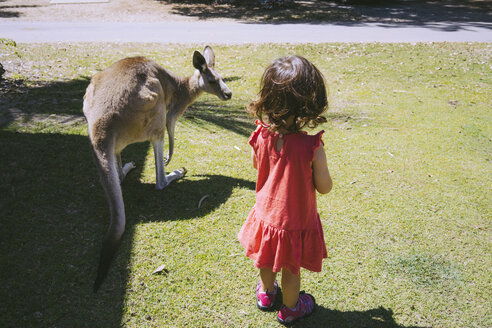 Australien, Queensland, Mackay, Cape Hillsborough National Park, kleines Mädchen mit Känguru auf einer Wiese - GEMF02570