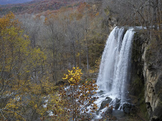 USA, Virginia, Falling Springs Wasserfall - BCDF00361