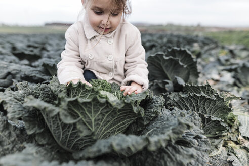 Girl sitting in a cabbage field - KMKF00664