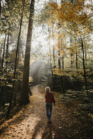 Deutschland, Schwarzwald, Sitzenkirch, Frau geht im herbstlichen Wald spazieren, lizenzfreies Stockfoto