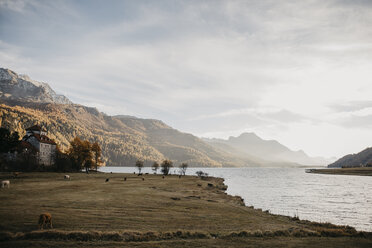 Schweiz, See im Engadin - LHPF00188